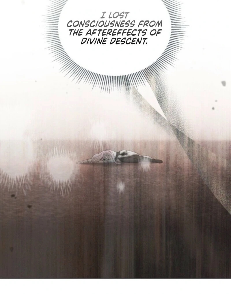 A Transmigrator’s Privilege Chapter 106 Page 12
