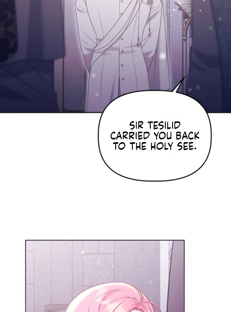 A Transmigrator’s Privilege Chapter 106 Page 17