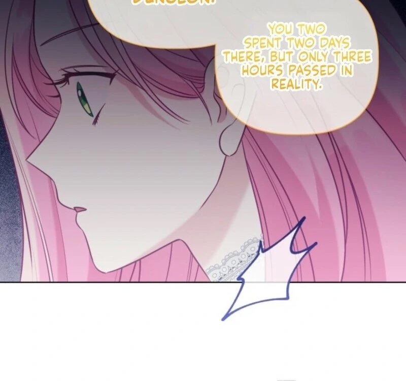 A Transmigrator’s Privilege Chapter 106 Page 27