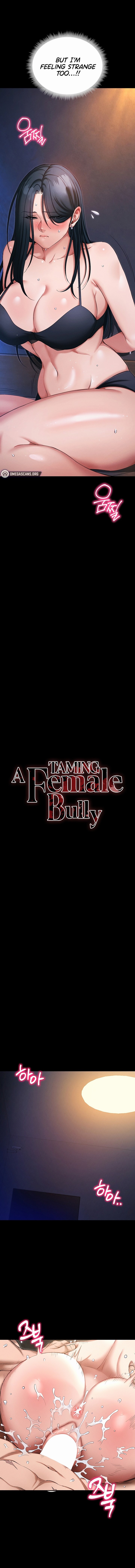 Taming A Female Bully