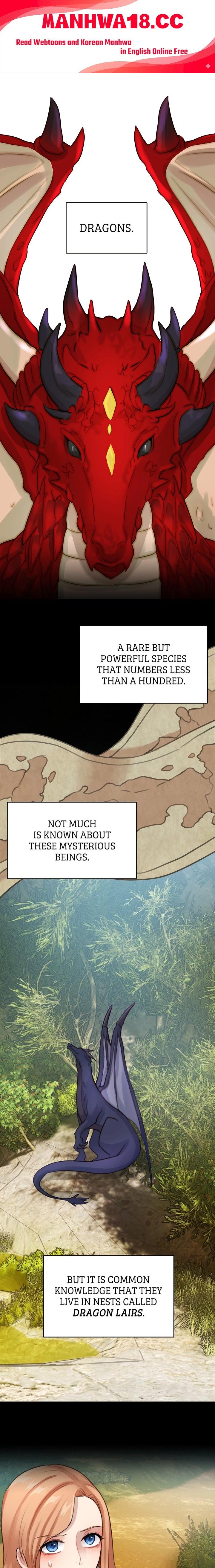 The Newlywed Diary of a Witch and a Dragon Chapter 11 Page 1