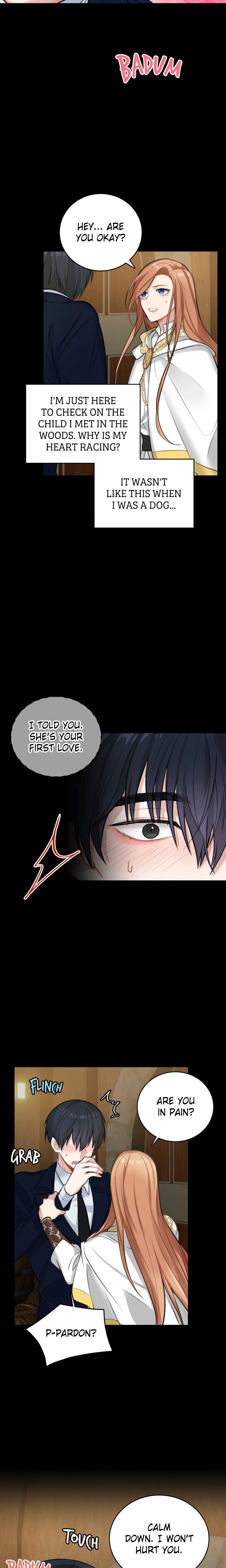 The Newlywed Diary of a Witch and a Dragon Chapter 15 Page 17