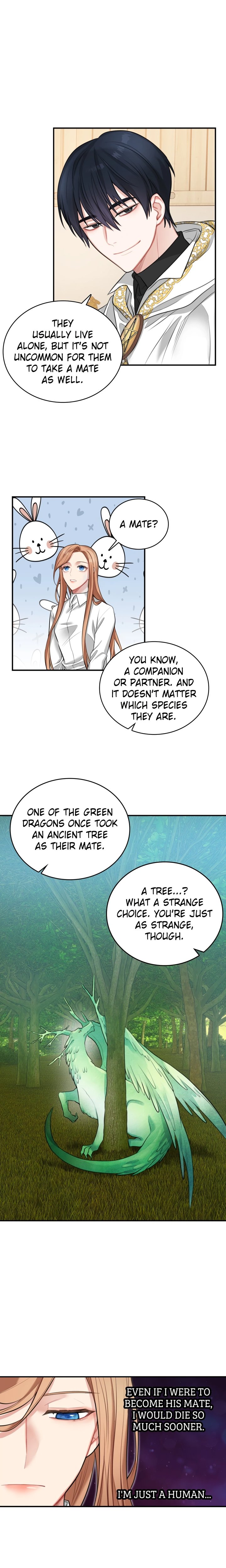 The Newlywed Diary of a Witch and a Dragon Chapter 16 Page 19