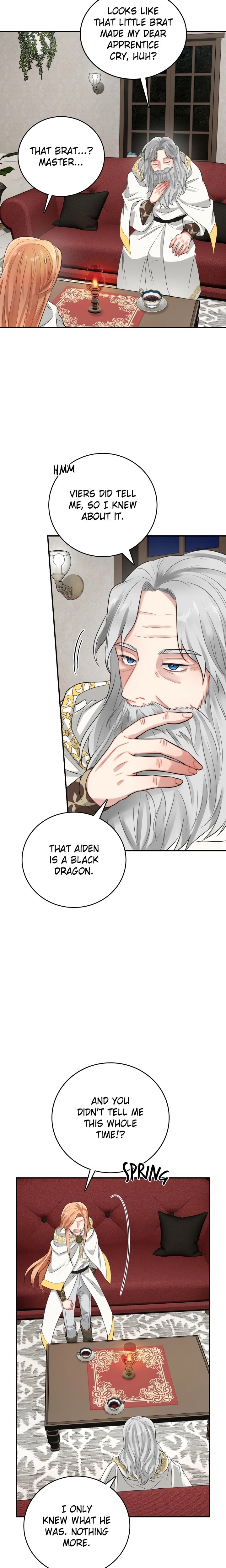The Newlywed Diary of a Witch and a Dragon Chapter 22 Page 21
