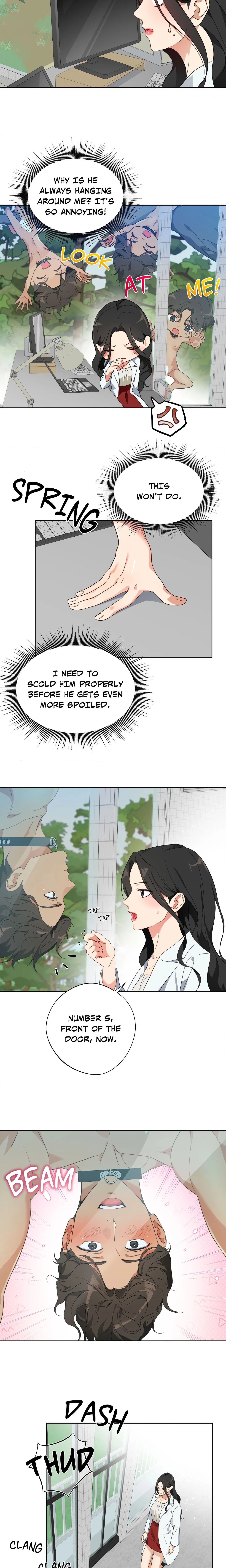Breeding Protocol Chapter 1 Page 19