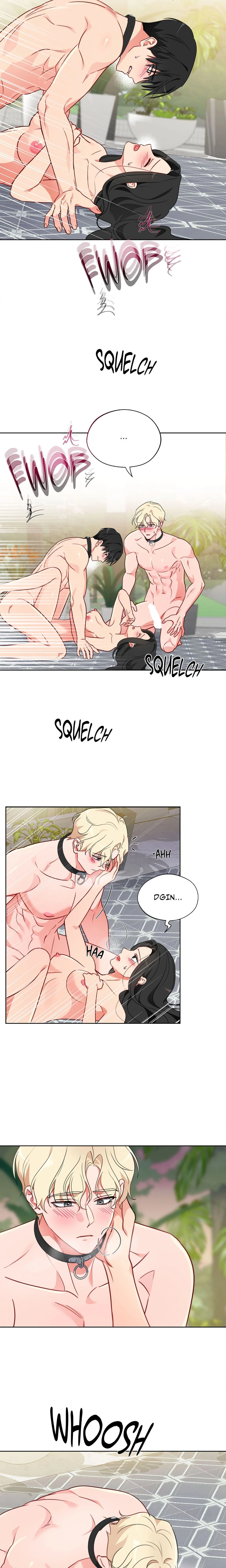 Breeding Protocol Chapter 16 Page 8