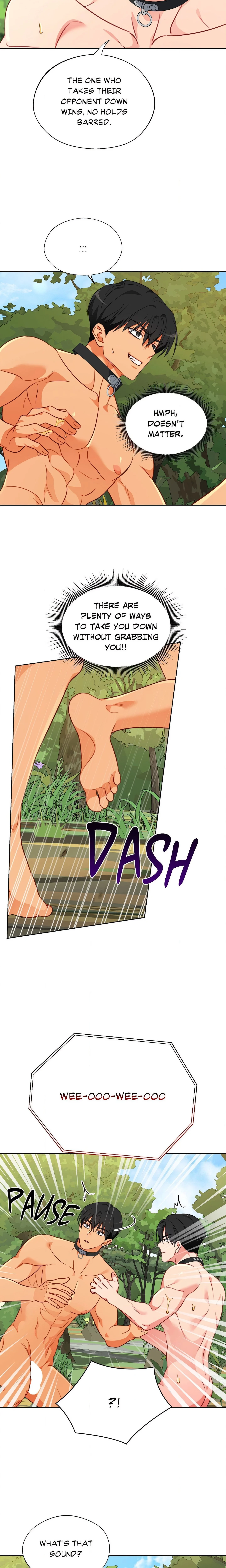 Breeding Protocol Chapter 16 Page 14