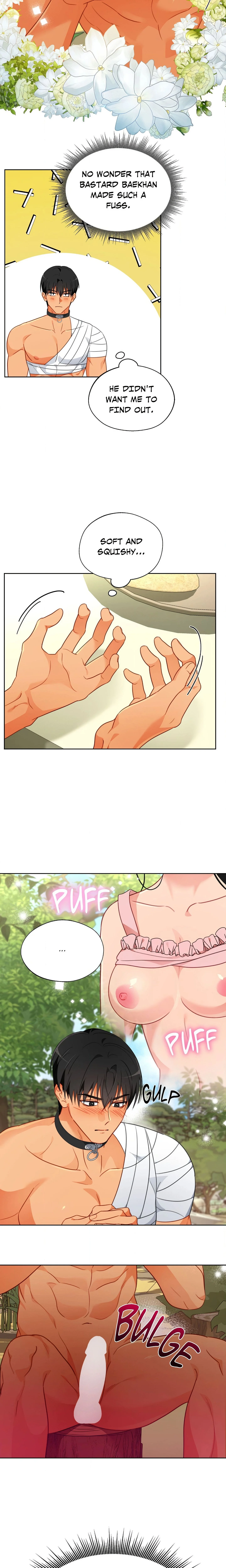 Breeding Protocol Chapter 20 Page 17