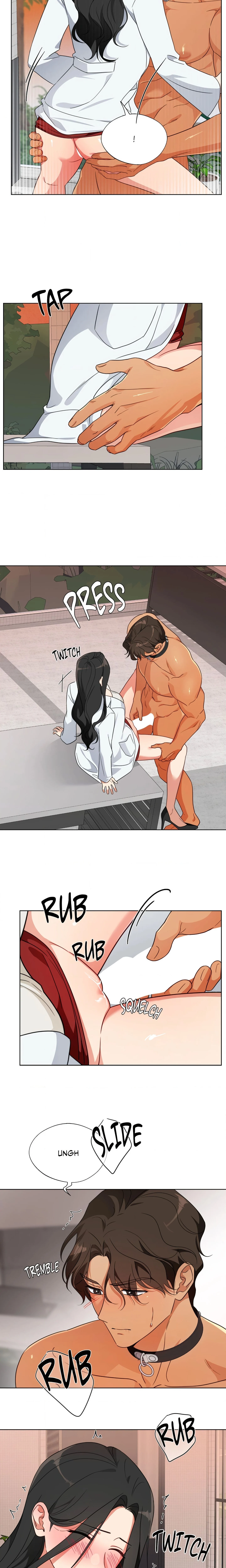 Breeding Protocol Chapter 3 Page 3