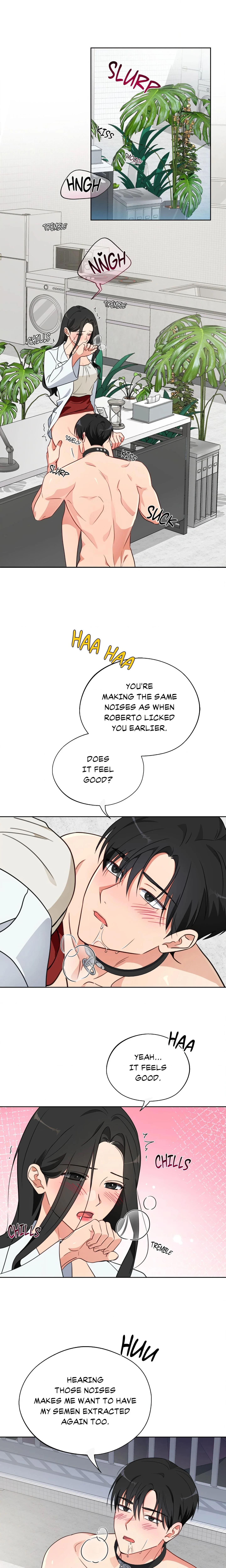 Breeding Protocol Chapter 7 Page 1