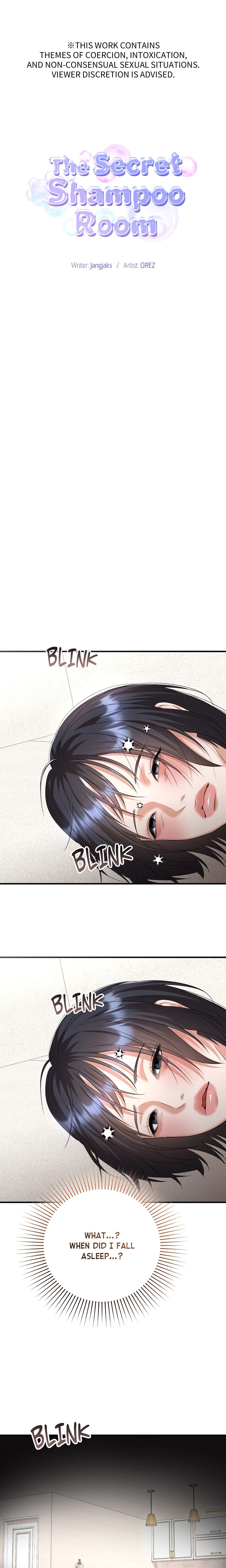 The Secret Shampoo Room Chapter 27 Page 1