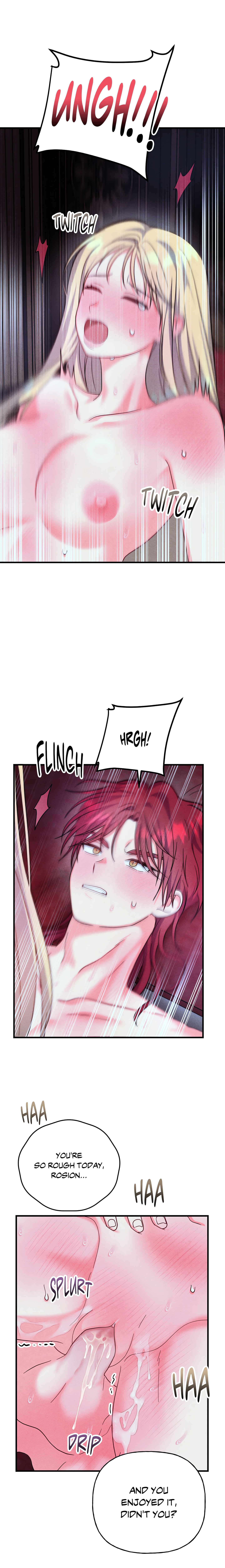 My Lady’s Midnight Affairs Chapter 24 Page 17